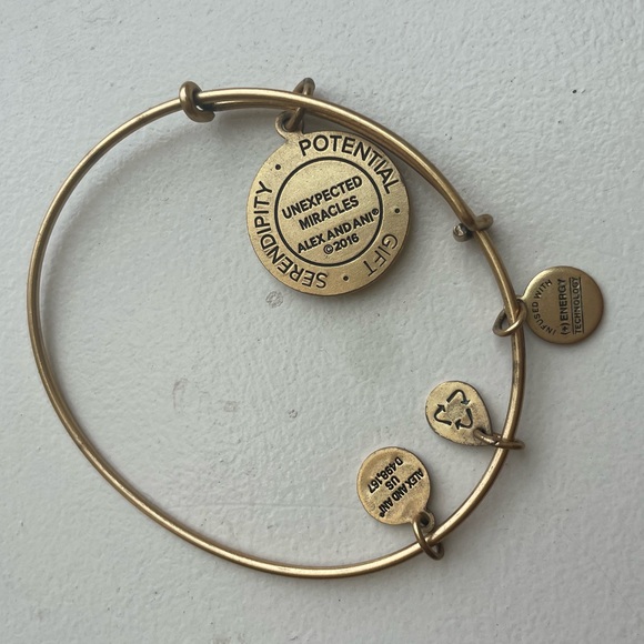 Alex + Ani bracelet gold matte, acorn, unexpected miracles serendipity - Picture 3 of 3